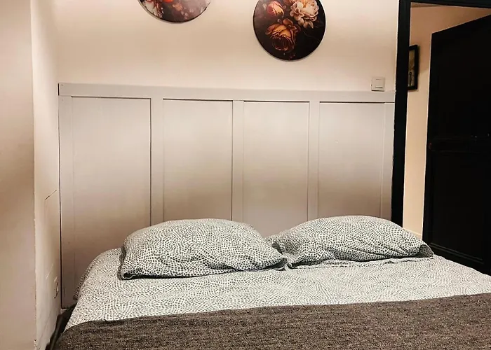 5- Les Tilleuls Roses Poitiers